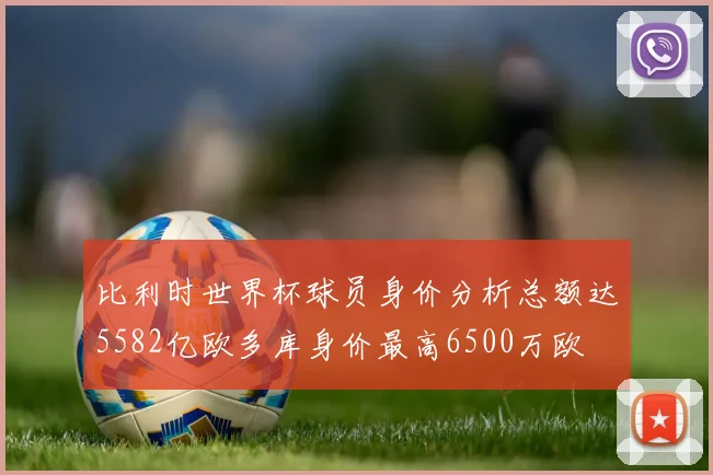 比利时世界杯球员身价分析总额达5582亿欧多库身价最高6500万欧