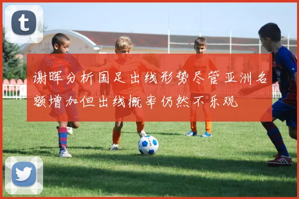 谢晖分析国足出线形势尽管亚洲名额增加但出线概率仍然不乐观